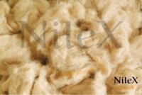 Flax Product 5