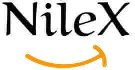 NileX Logo